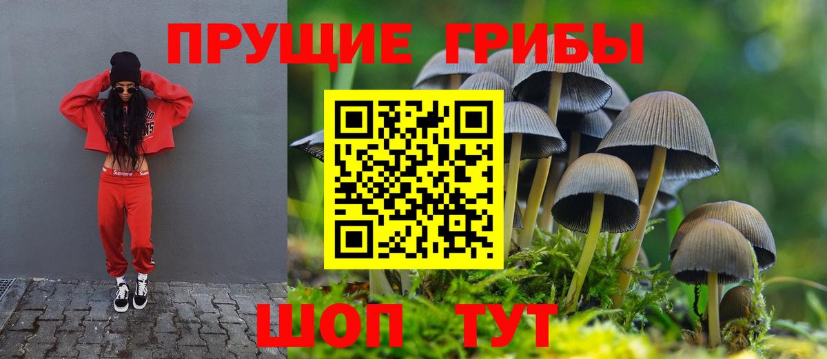 Волгодонск  Галлюциногенные грибы мухоморы  Вход с VPN  Галлюциногенные грибы MAGIC MUSHROOMS 